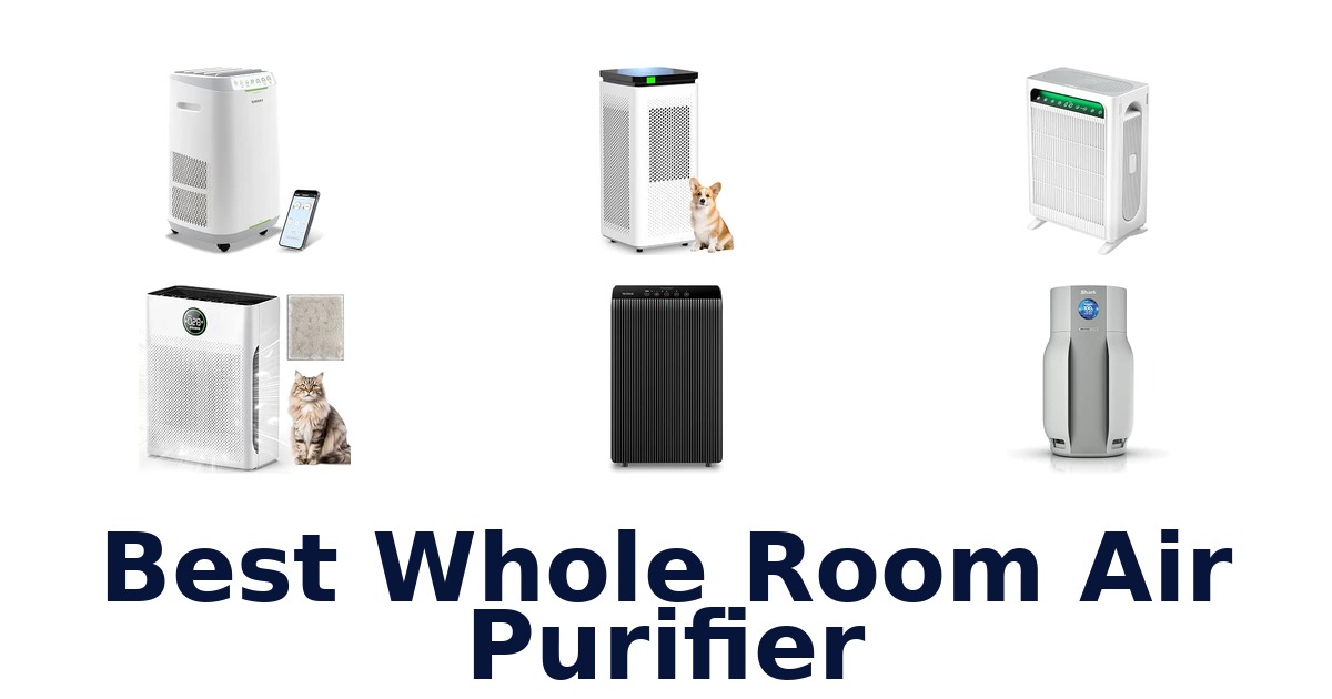 Best Whole Room Air Purifier