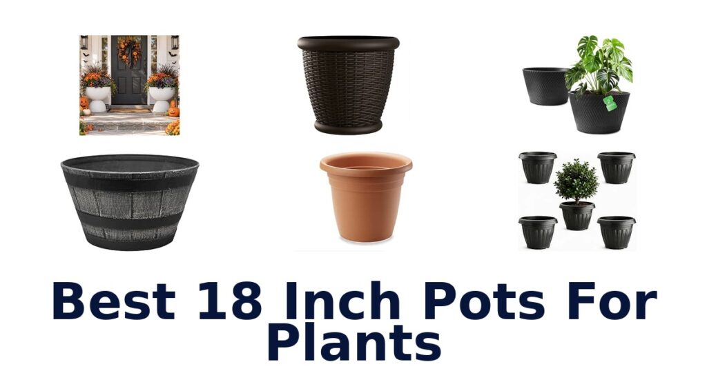 Best 18 Inch Pots For Plants