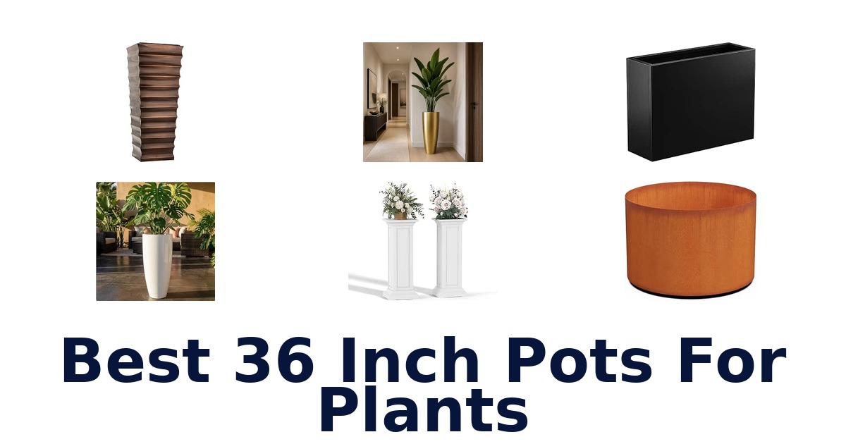 Best 36 Inch Pots For Plants