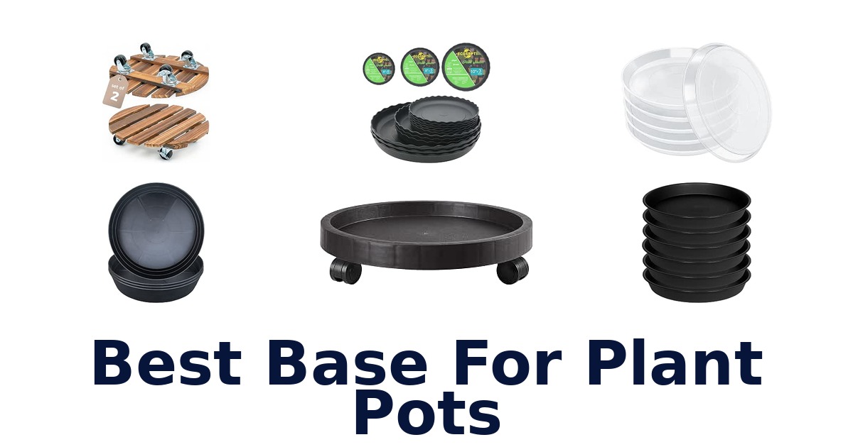 Best Base For Plant Pots