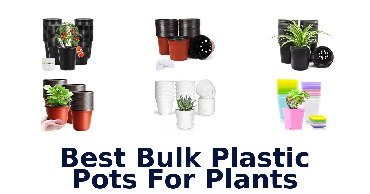 Best Bulk Plastic Pots For Plants