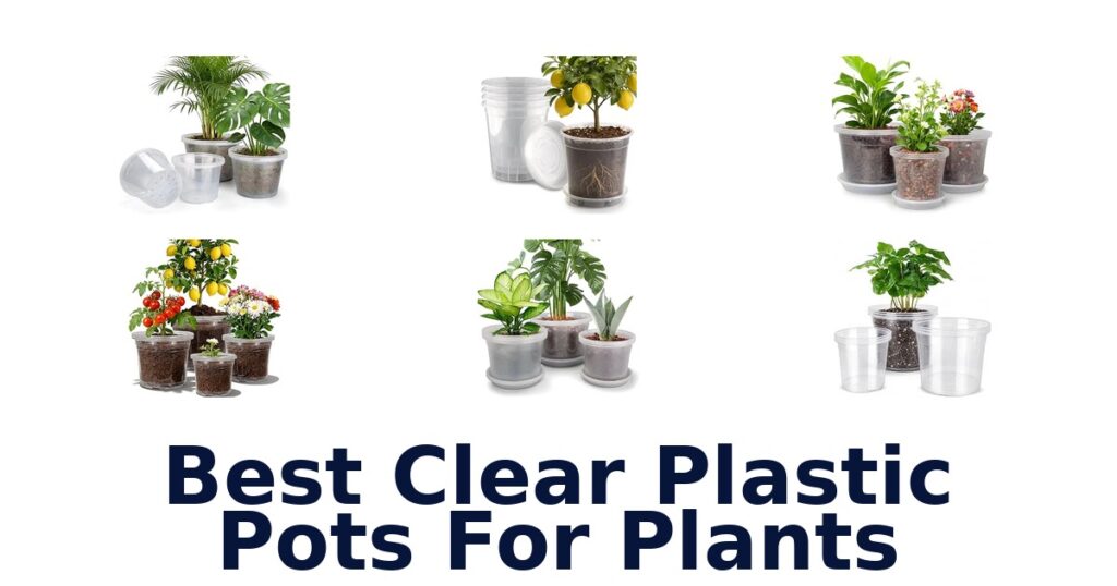 Best Clear Plastic Pots For Plants