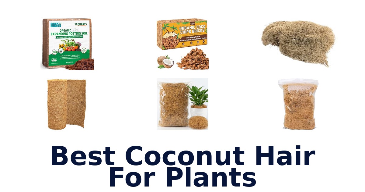 Best Coconut Hair For Plants