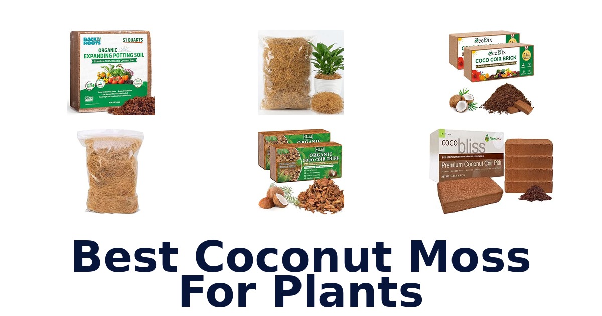 Best Coconut Moss For Plants