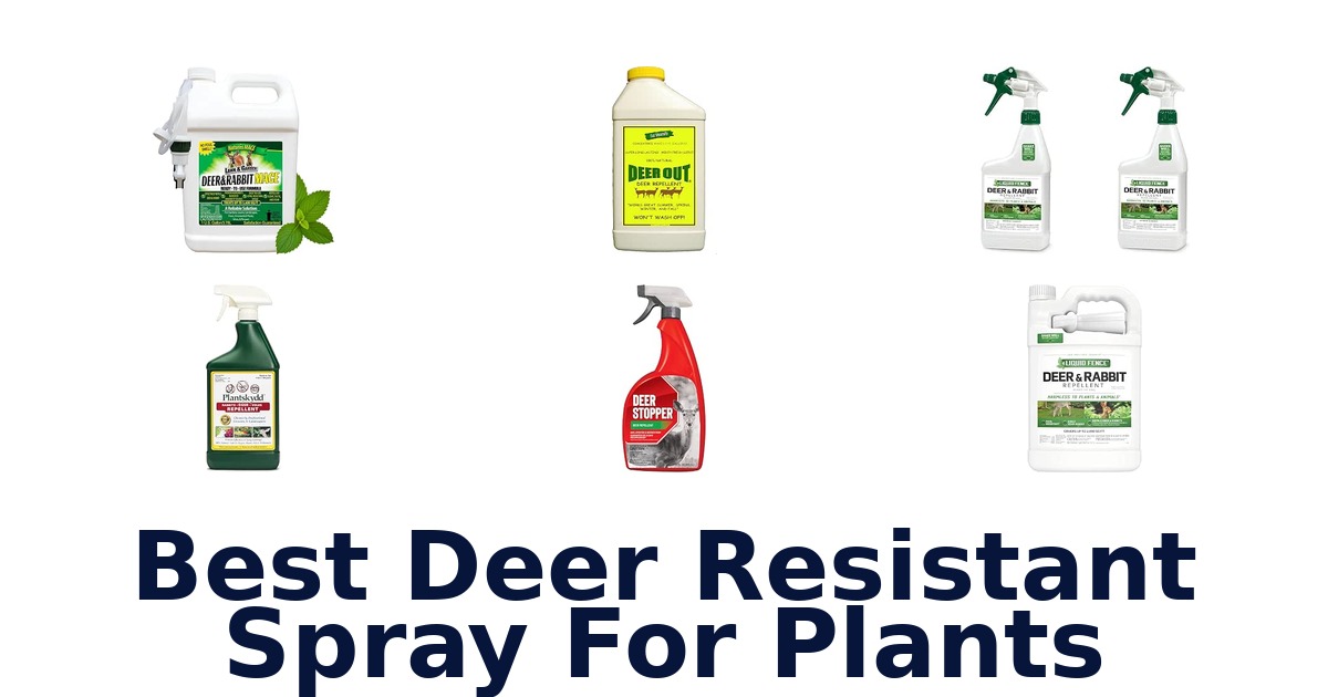 Best Deer Resistant Spray For Plants