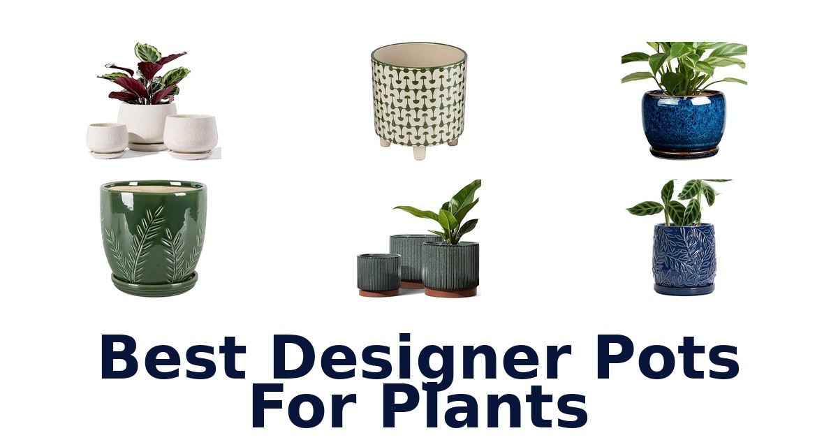 Best Designer Pots For Plants