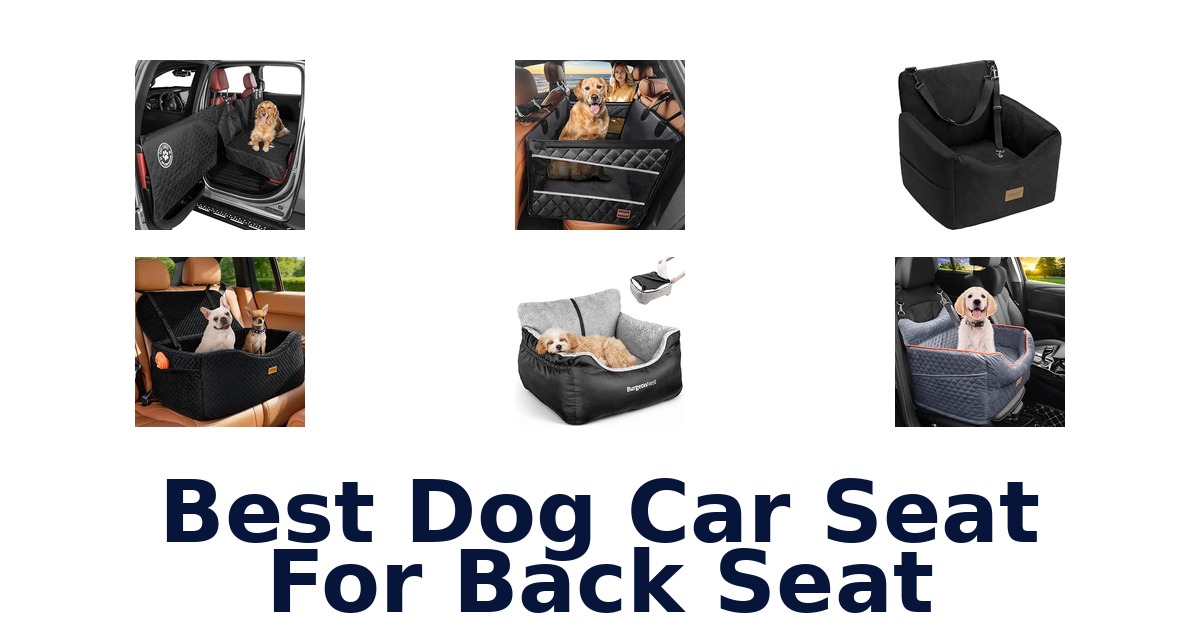 Best Dog Car Seat For Back Seat