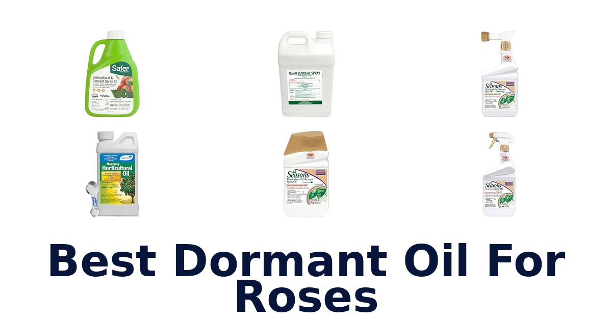 Best Dormant Oil For Roses