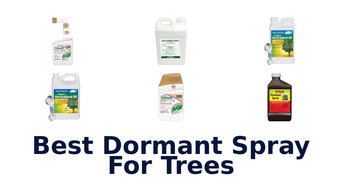 Best Dormant Spray For Trees