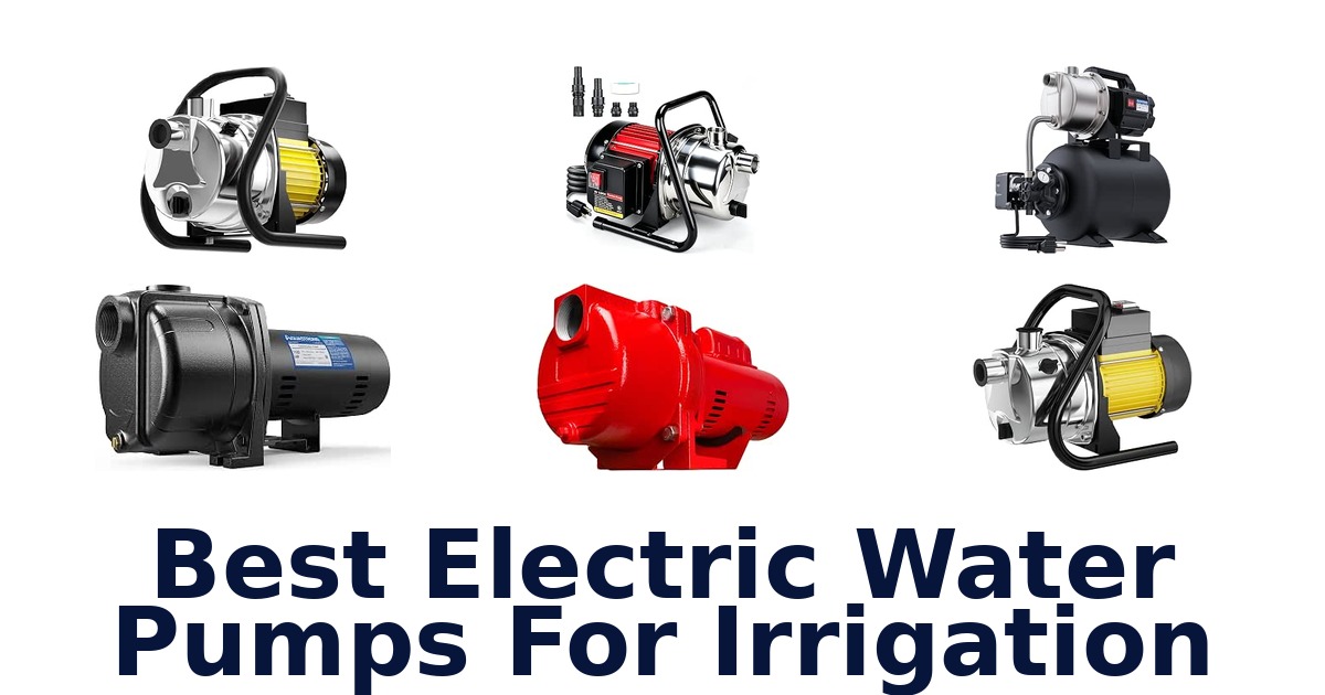 Best Electric Water Pumps For Irrigation