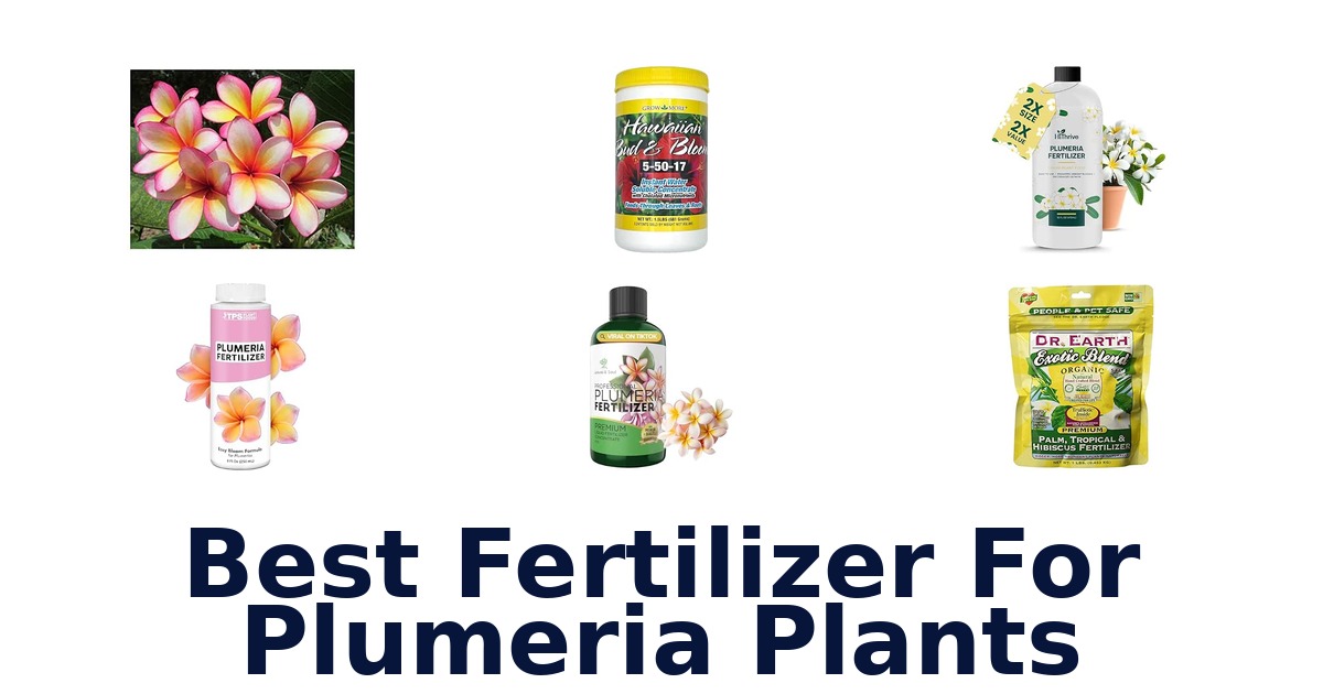 Best Fertilizer For Plumeria Plants