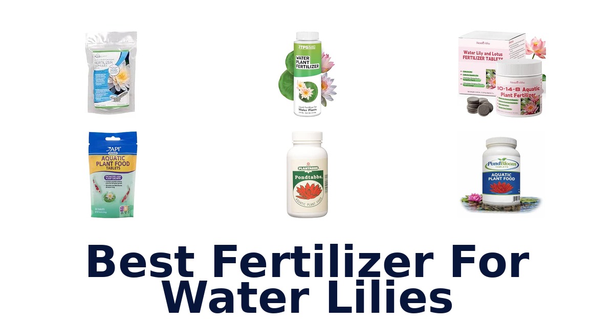 Best Fertilizer For Water Lilies