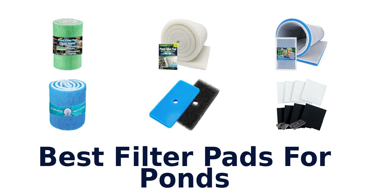 Best Filter Pads For Ponds