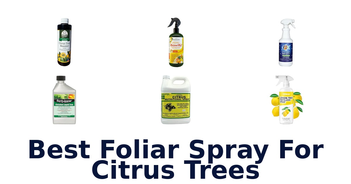 Best Foliar Spray For Citrus Trees