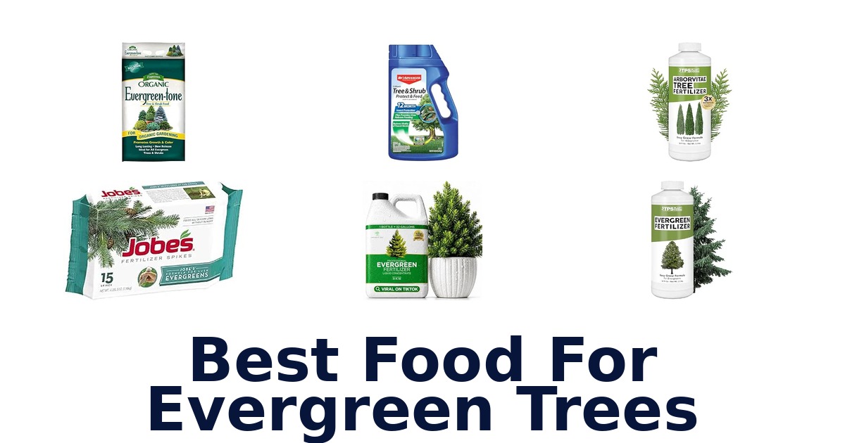 Best Food For Evergreen Trees