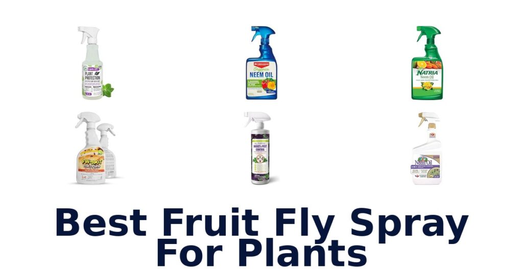 Best Fruit Fly Spray For Plants