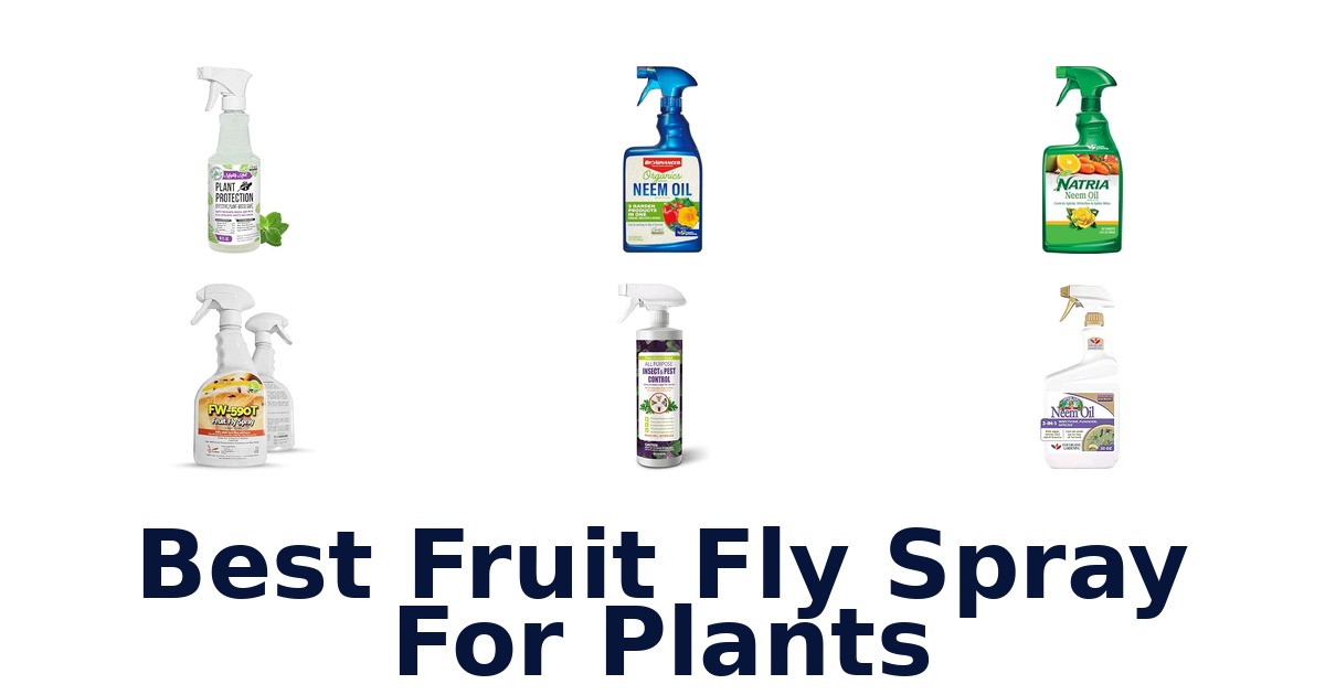 Best Fruit Fly Spray For Plants