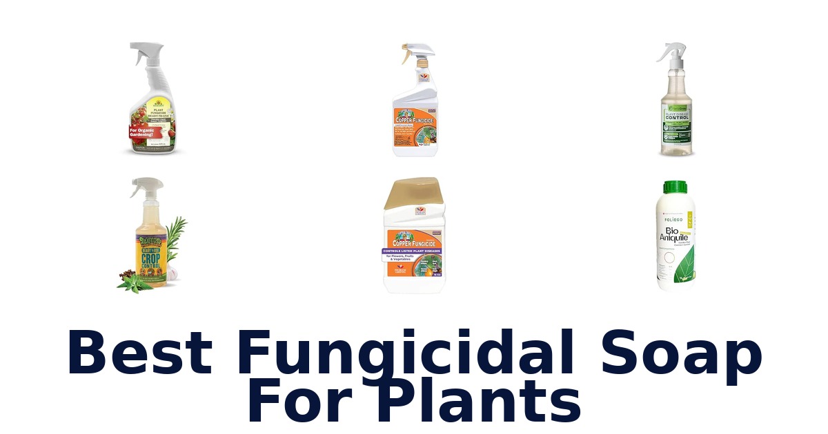 Best Fungicidal Soap For Plants