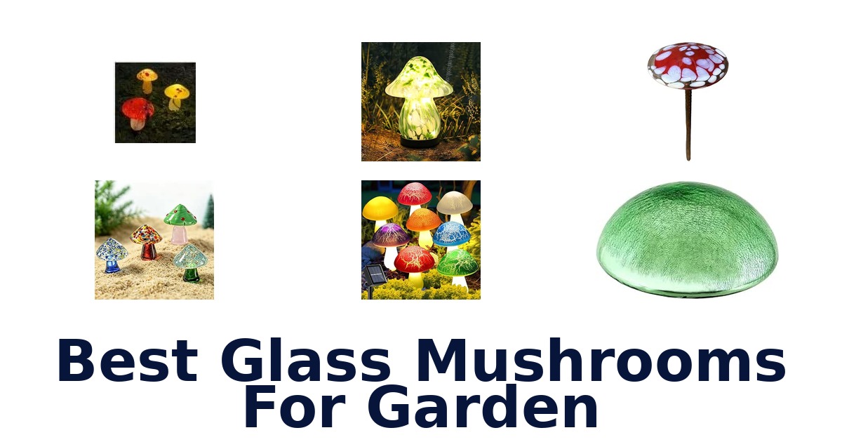 Best Glass Mushrooms For Garden