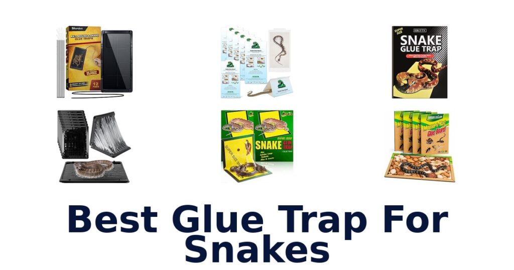 Best Glue Trap For Snakes