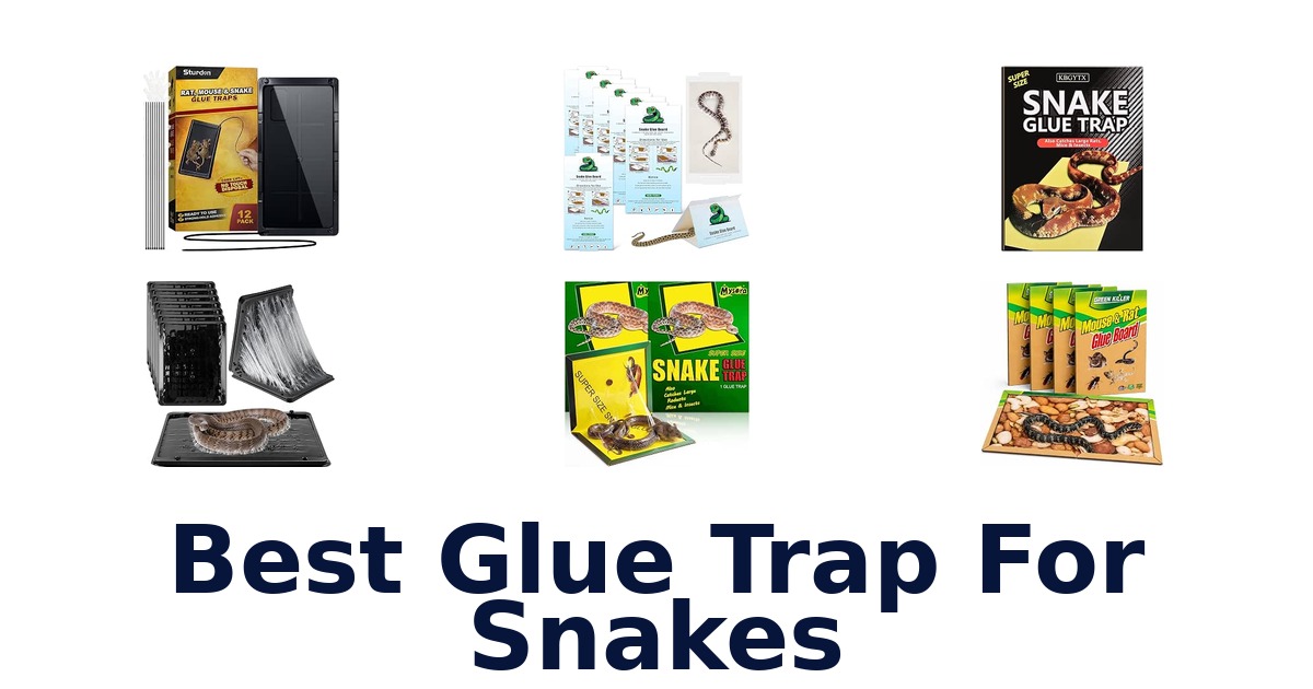 Best Glue Trap For Snakes