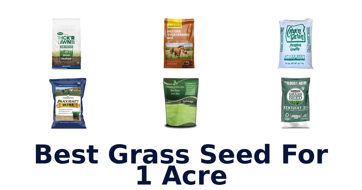 Best Grass Seed For 1 Acre
