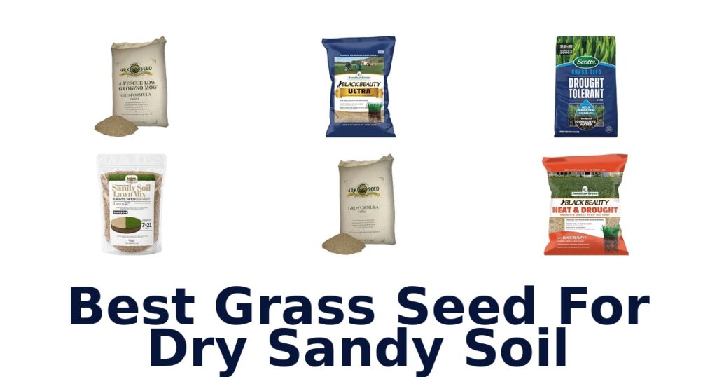 Best Grass Seed For Dry Sandy Soil