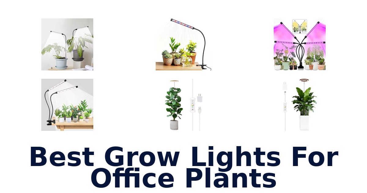 Best Grow Lights For Office Plants