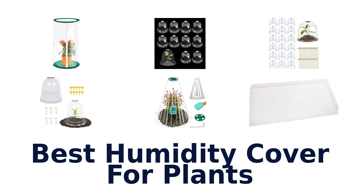 Best Humidity Cover For Plants