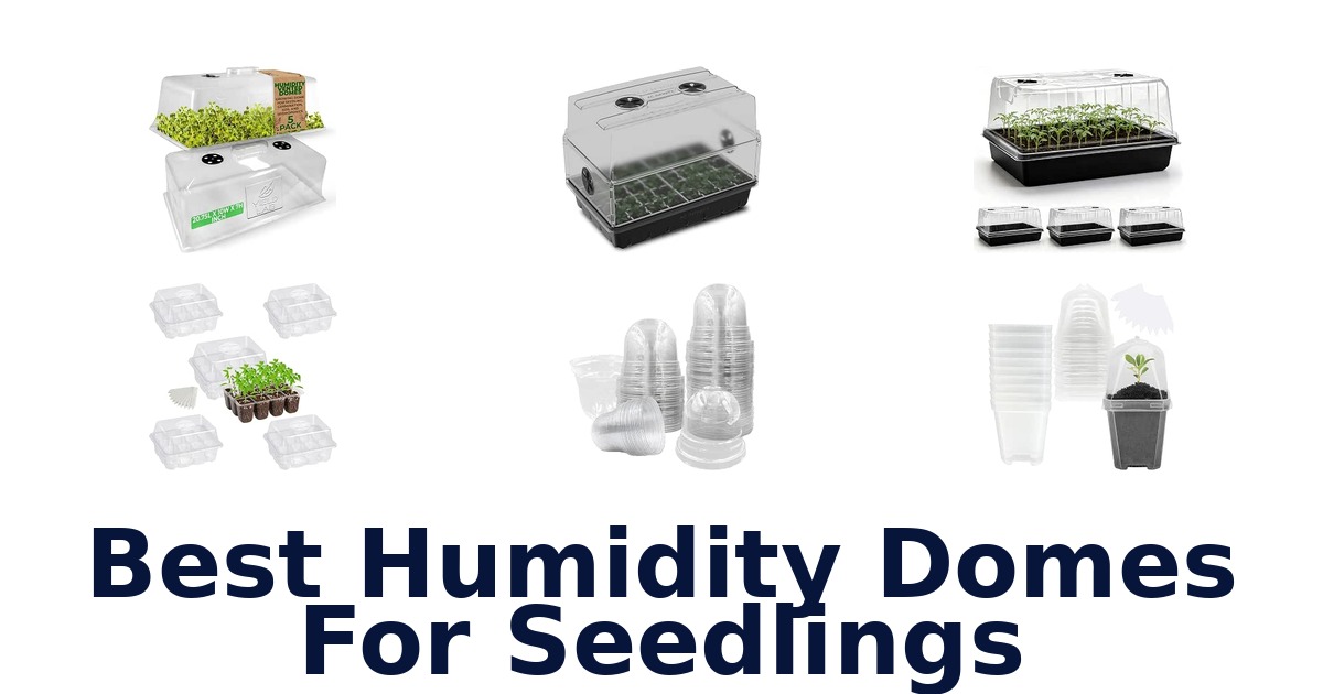 Best Humidity Domes For Seedlings