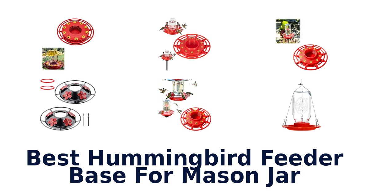 Best Hummingbird Feeder Base For Mason Jar