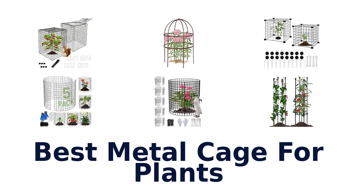 Best Metal Cage For Plants