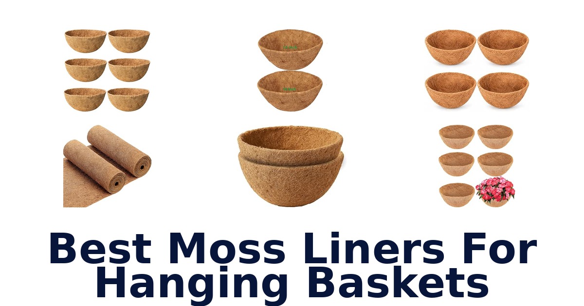 Best Moss Liners For Hanging Baskets