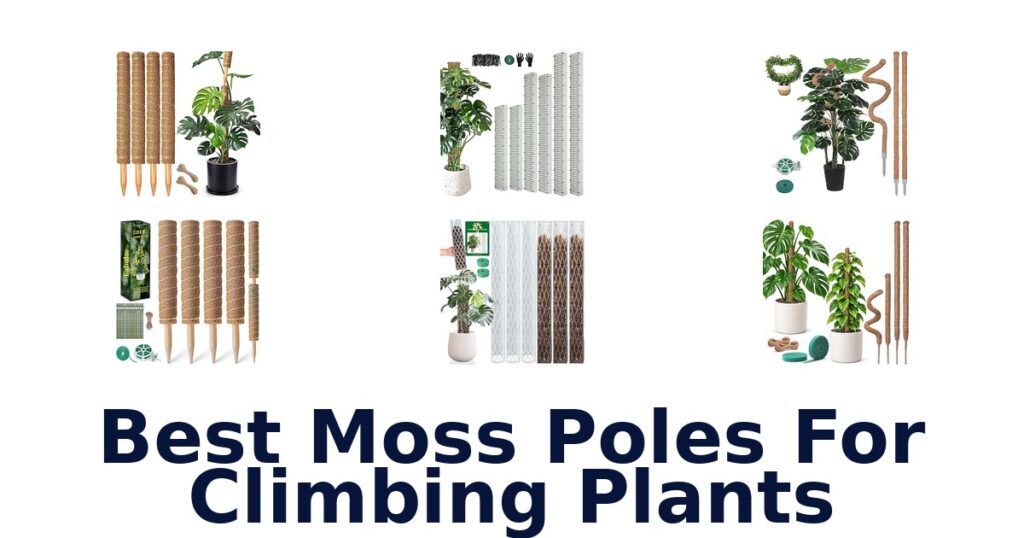 Best Moss Poles For Climbing Plants