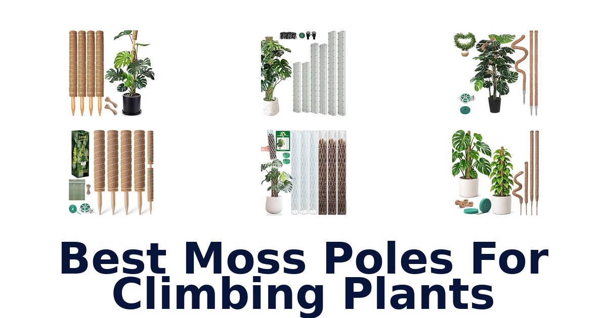 Best Moss Poles For Climbing Plants