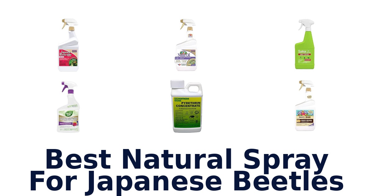Best Natural Spray For Japanese Beetles