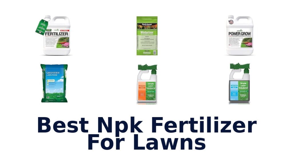 Best Npk Fertilizer For Lawns