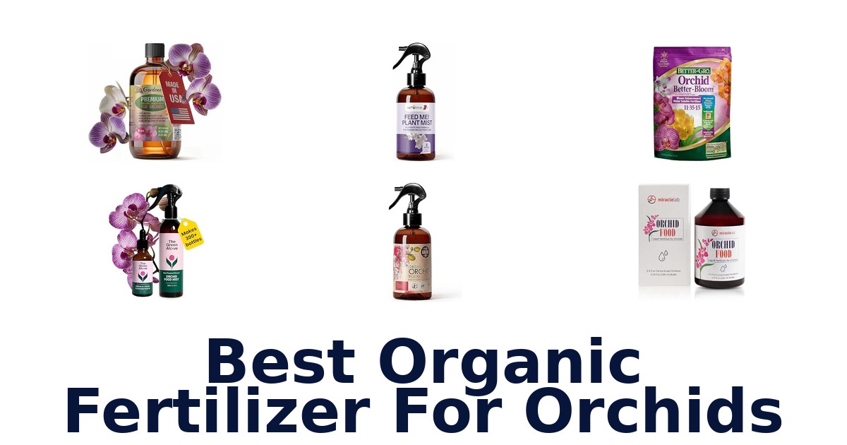 Best Organic Fertilizer For Orchids