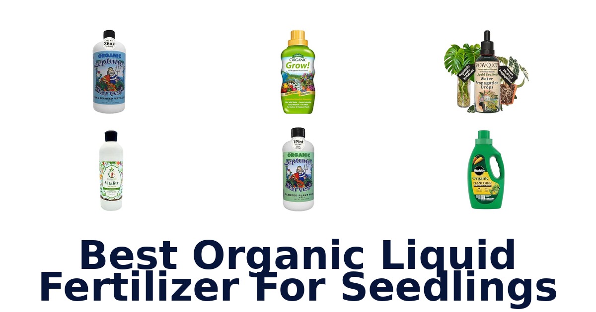 Best Organic Liquid Fertilizer For Seedlings