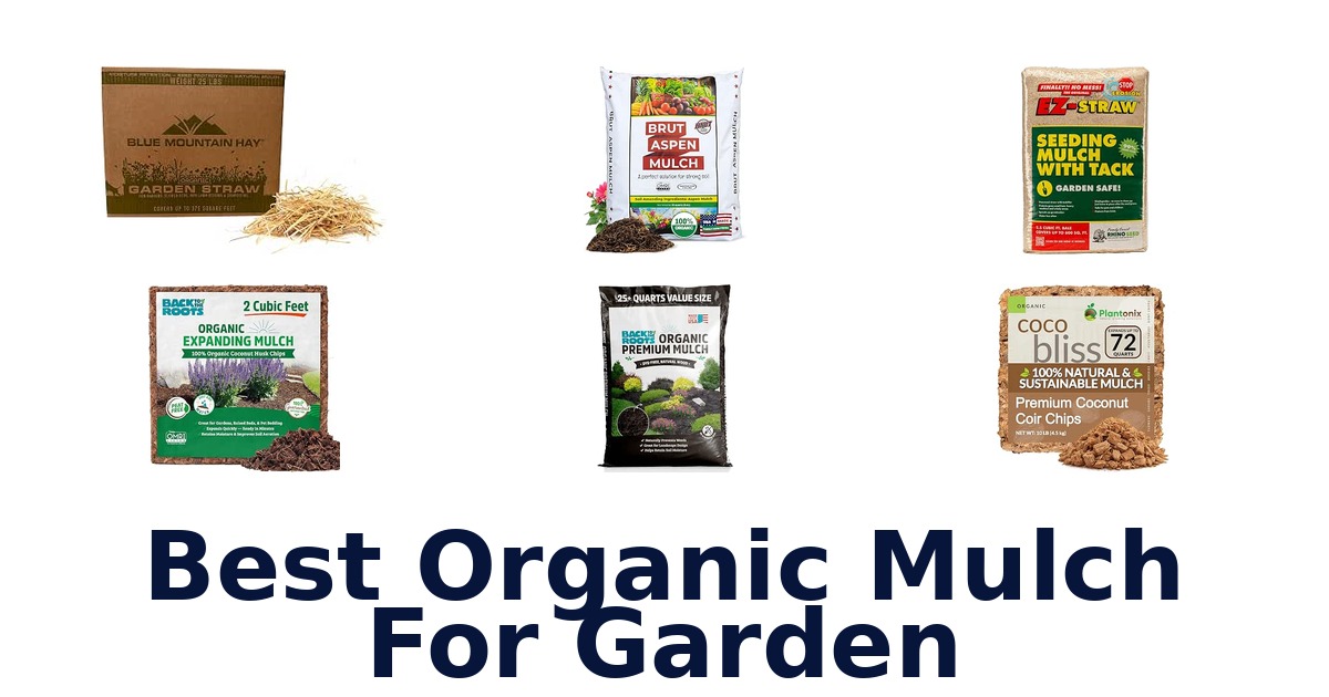 Best Organic Mulch For Garden
