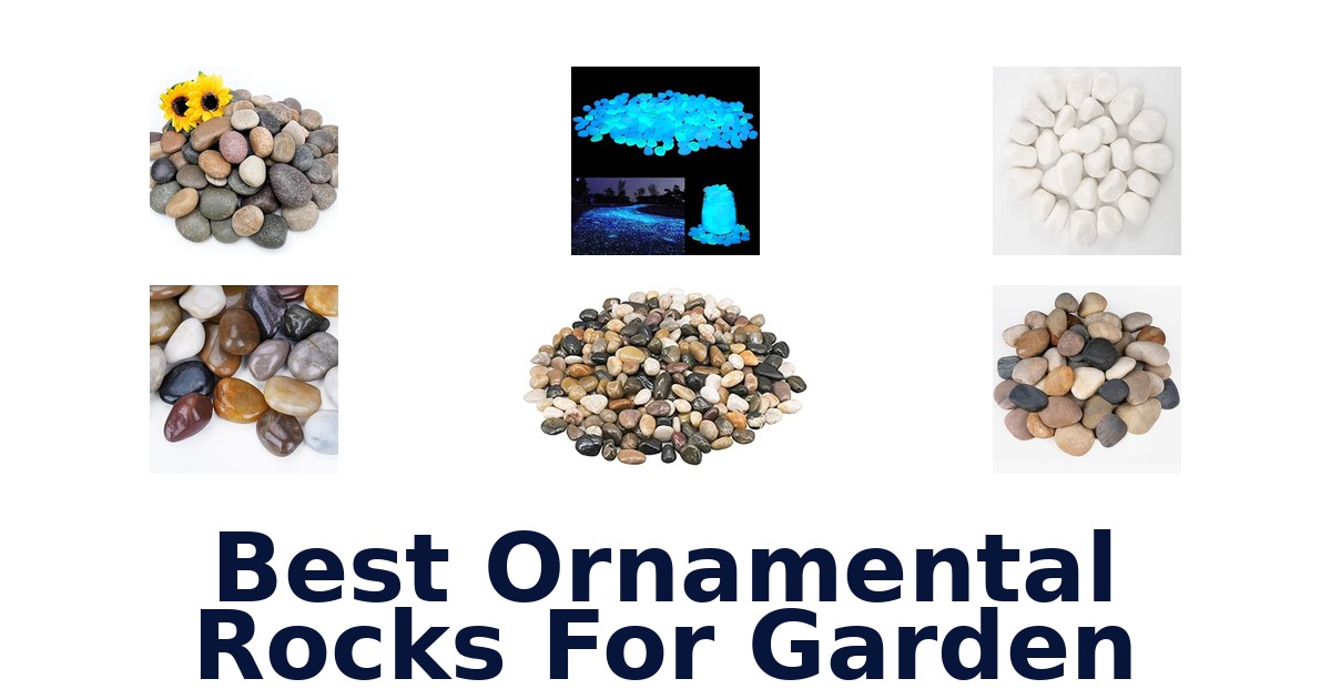 Best Ornamental Rocks For Garden