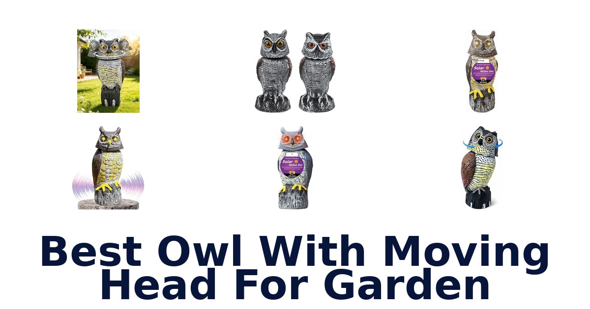 Best Owl With Moving Head For Garden
