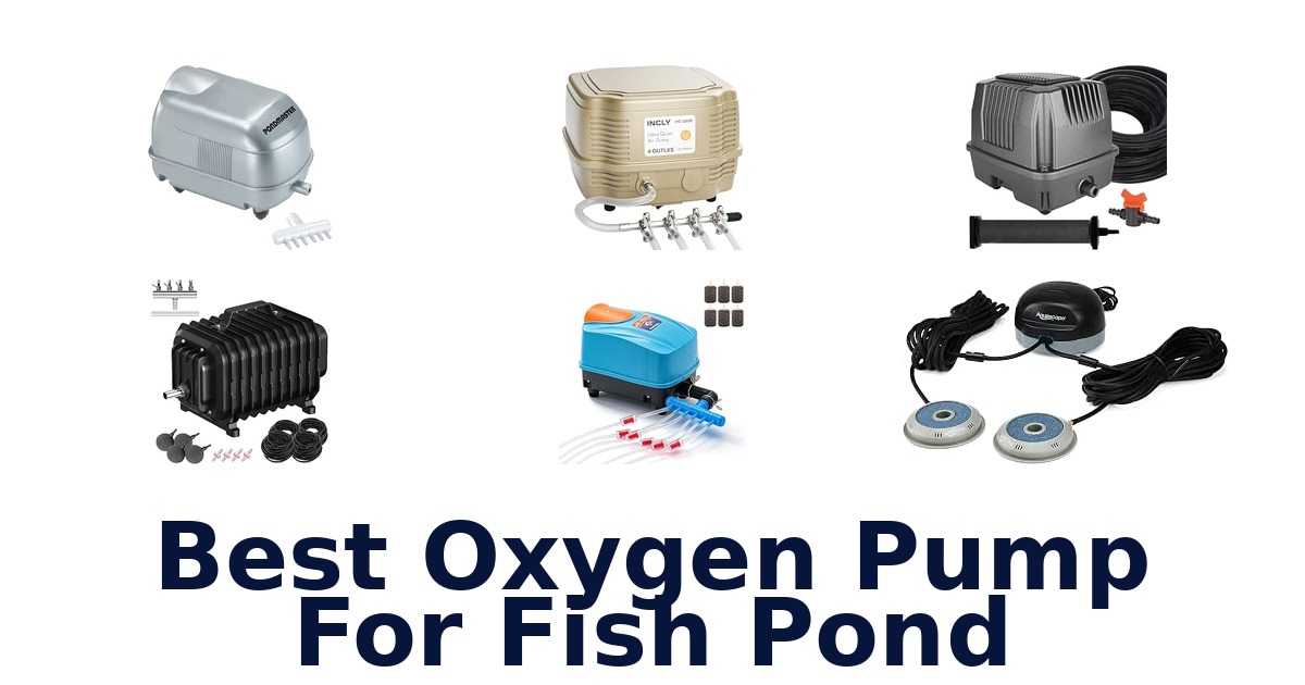 Best Oxygen Pump For Fish Pond