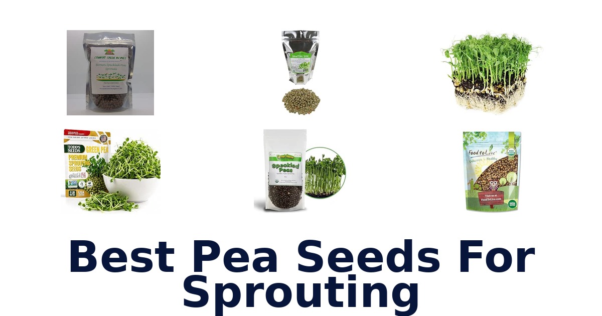 Best Pea Seeds For Sprouting