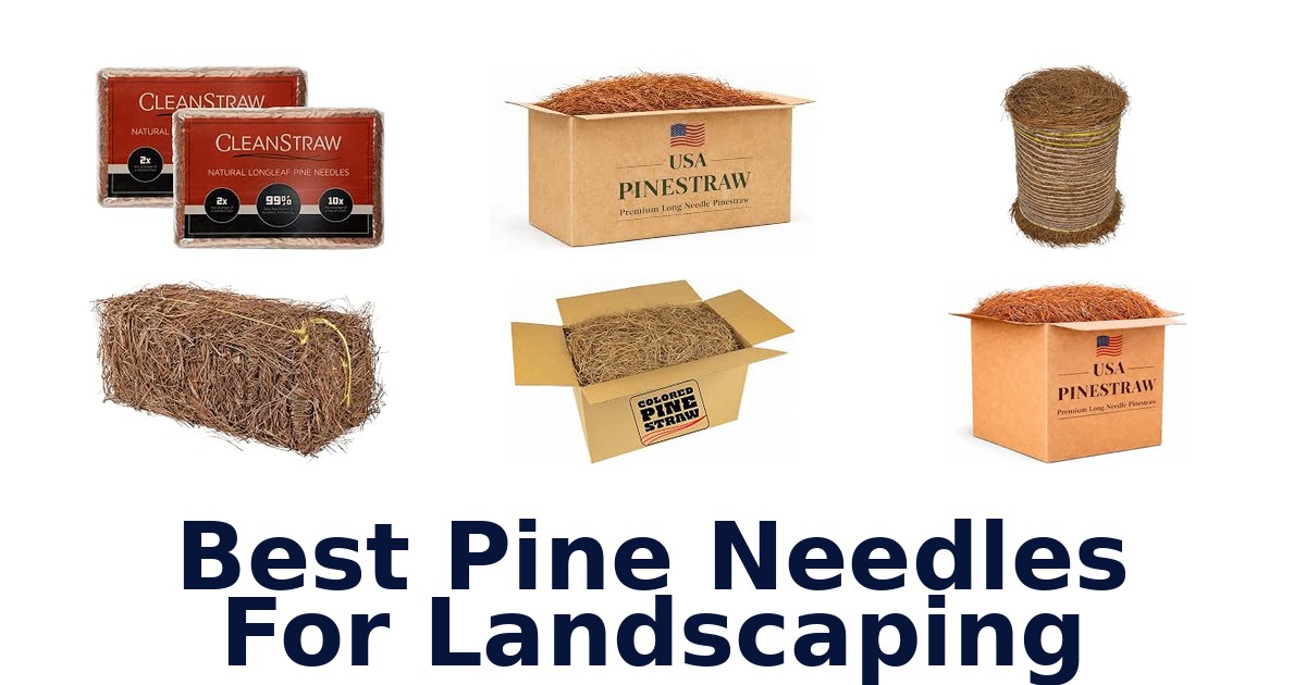 Best Pine Needles For Landscaping