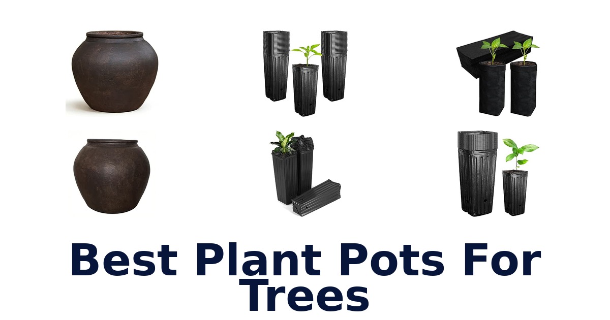 Best Plant Pots For Trees