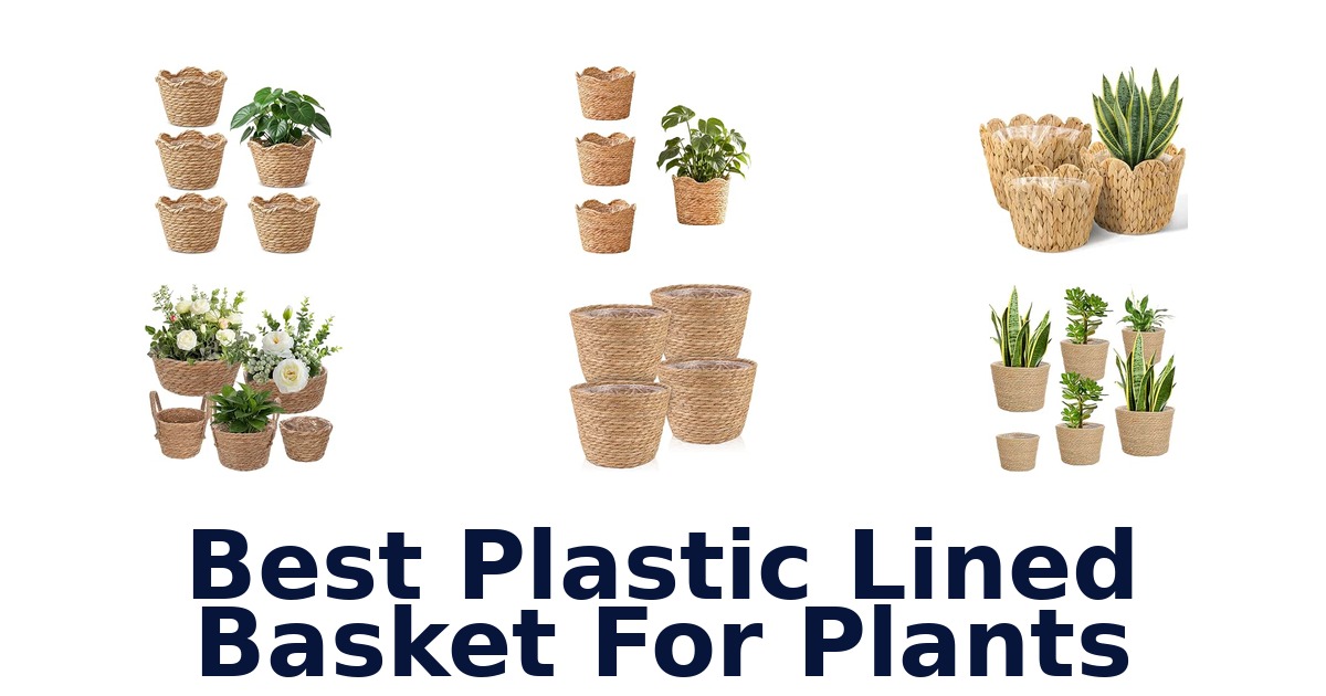 Best Plastic Lined Basket For Plants