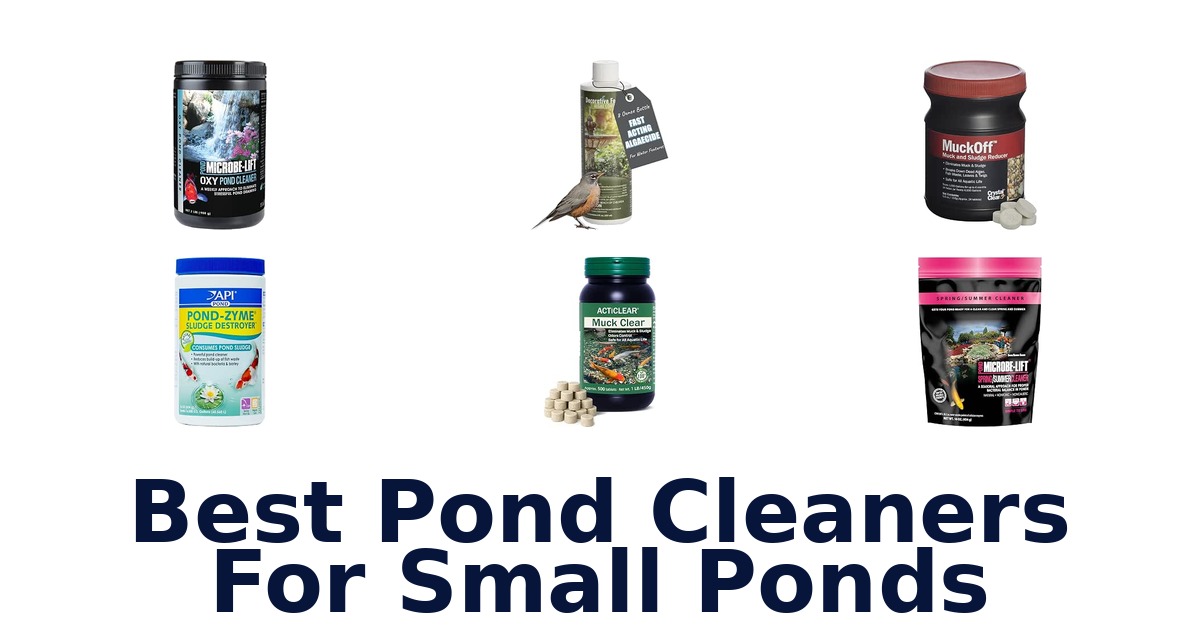 Best Pond Cleaners For Small Ponds