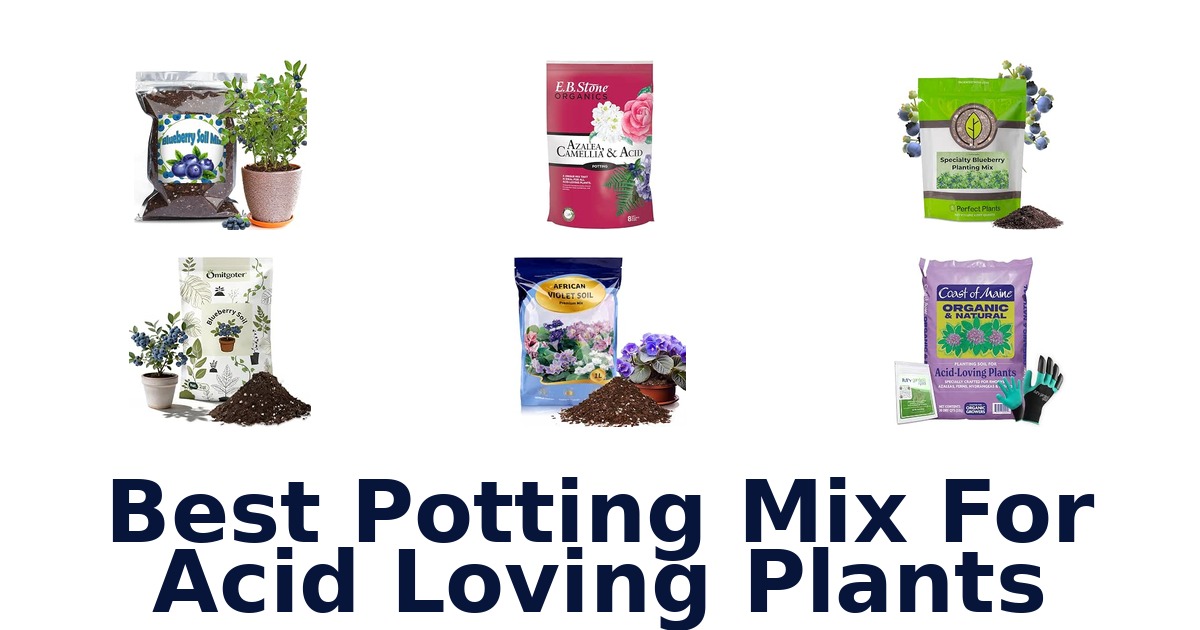 Best Potting Mix For Acid Loving Plants