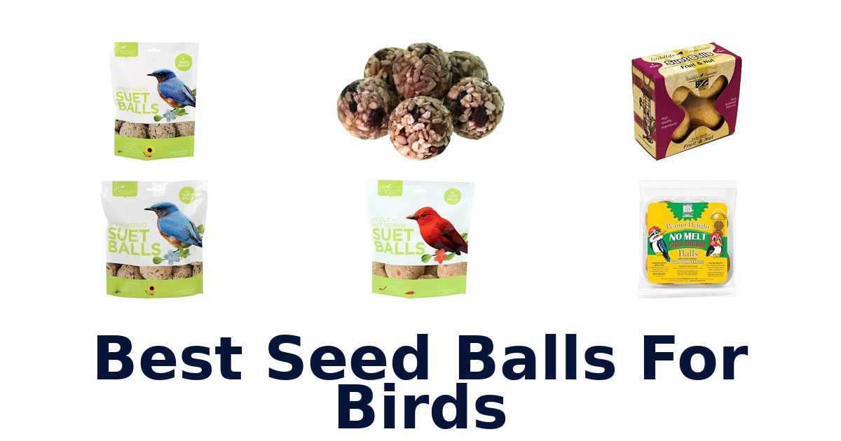 Best Seed Balls For Birds